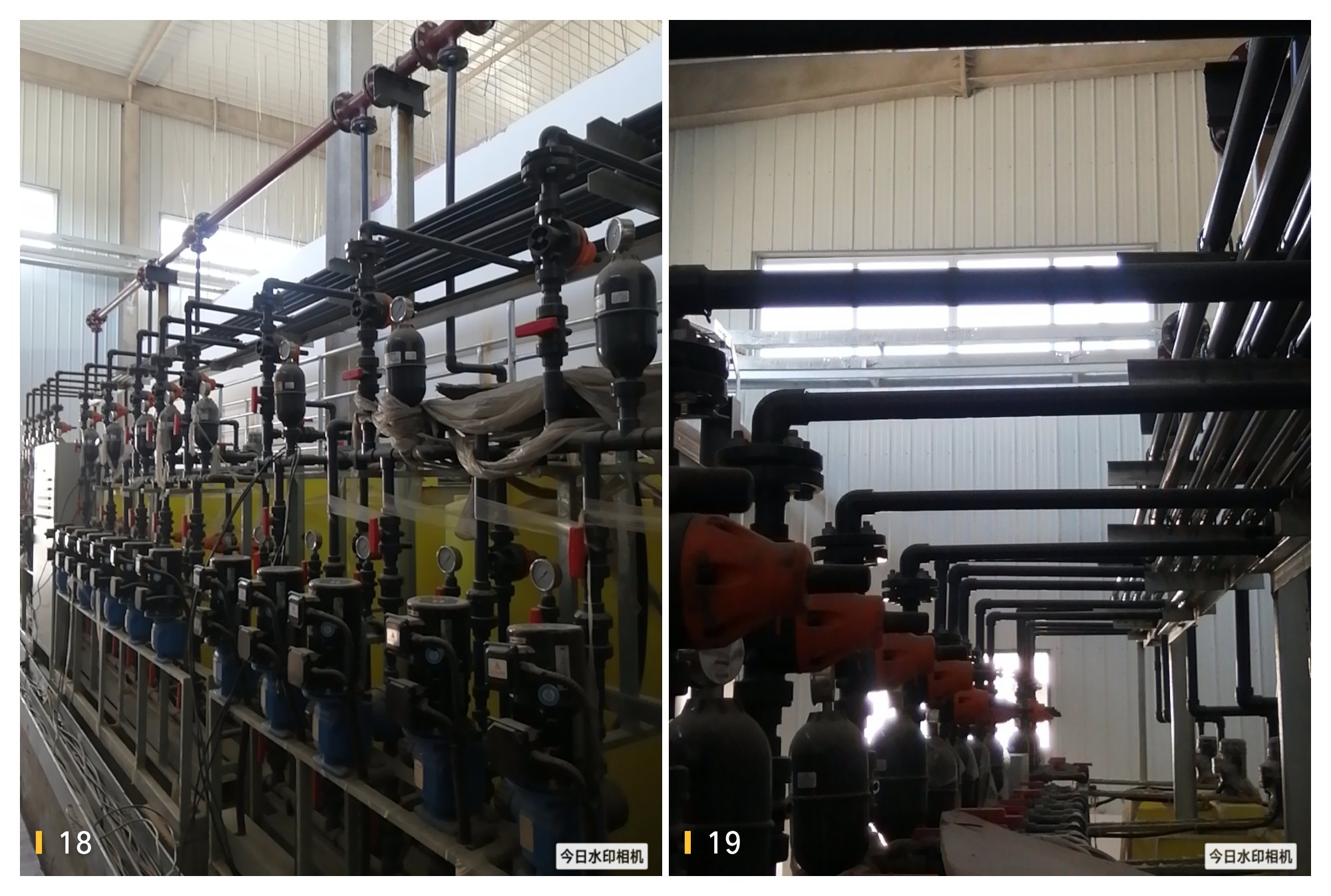 在线精品亚洲一区二区绿巨人